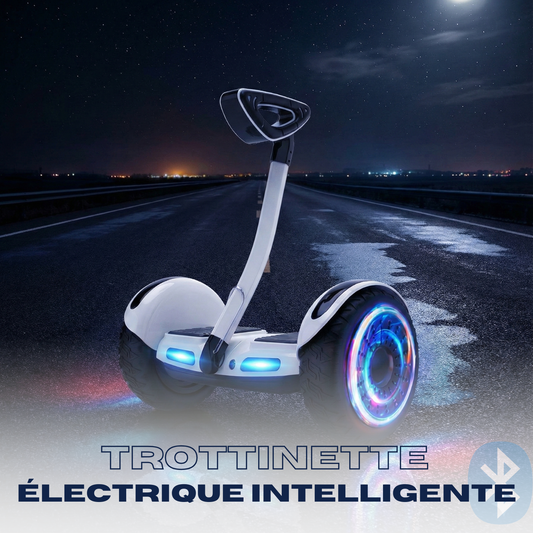 TROTINETTE électrique - L'Avenir Est Sous Tes Pieds, Le Transport Qui Est un Spectacle